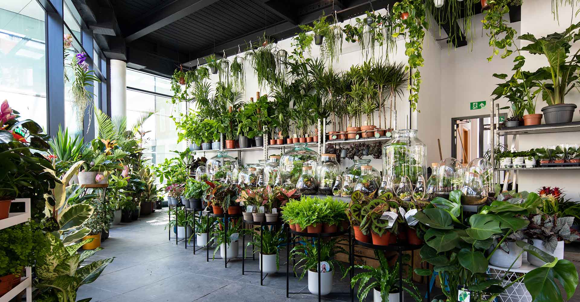 The Plant Warehouse Shop Spitalfields Market E1