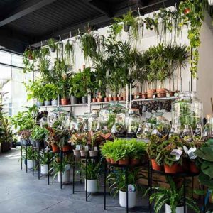 Plant Warehouse - Spitalfields Market - things to do